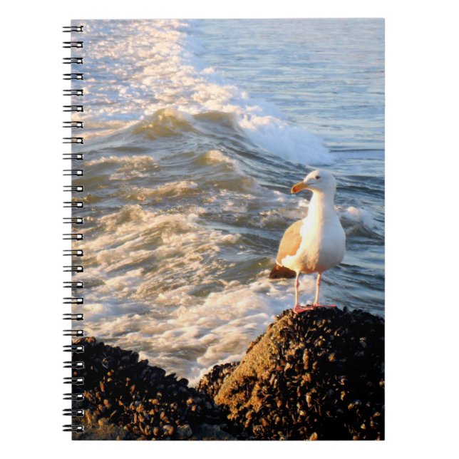 Caderno Espiral Venice Beach Seagull (Frente)
