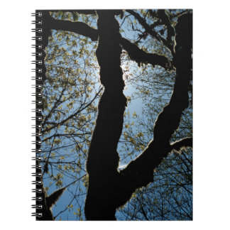 CADERNO ESPIRAL VER