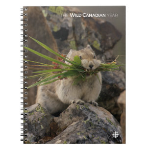 Caderno Espiral Verão - América Latina