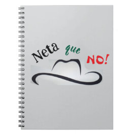 Caderno Espiral Verdade que Não!