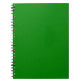 Caderno Espiral Verdadeiro Verde