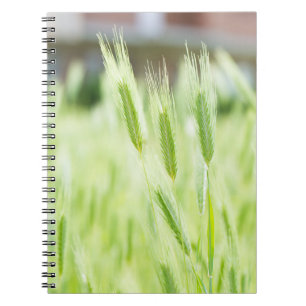 Caderno Espiral Verde