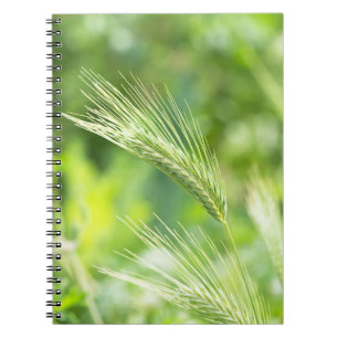 Caderno Espiral Verde