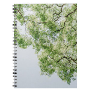 Caderno Espiral verde
