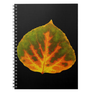 Caderno Espiral Verde Laranja e Amarelo Aspen Folha #1