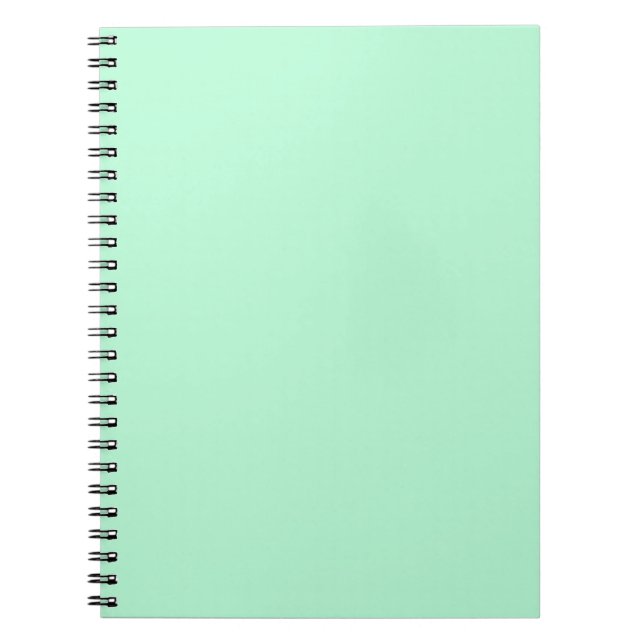 Caderno Espiral Verde Menta (Frente)