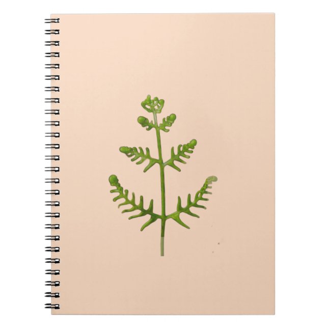Caderno Espiral verde primavera (Frente)
