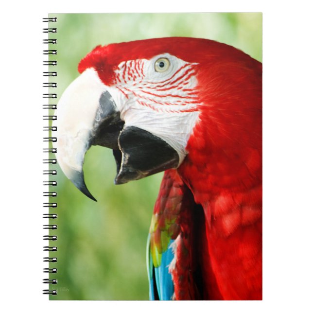 Caderno Espiral Vermelho Brilhante (Frente)