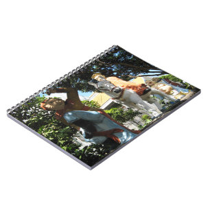 Caderno Espiral Viagem ao Ocidente [Mágica Macaco]