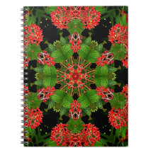 Viburnum Berries Caleidoscópio