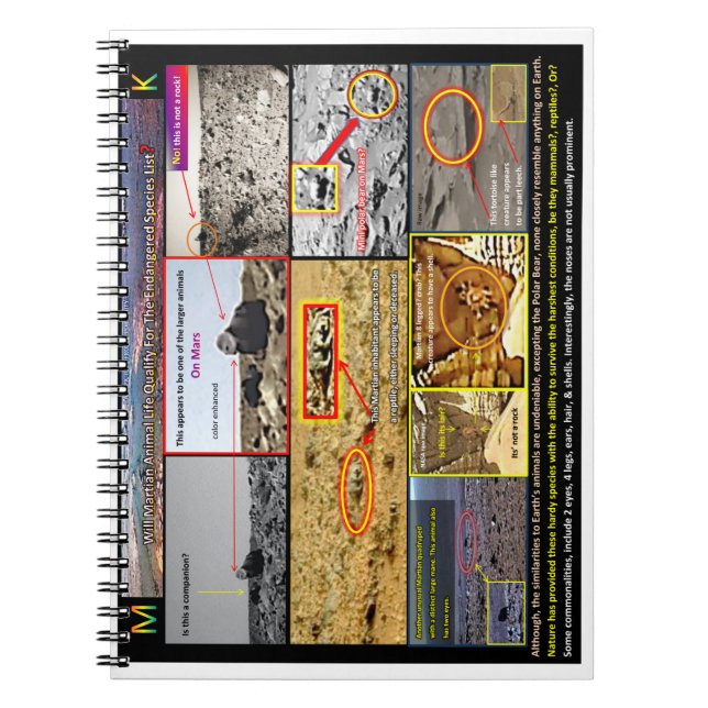 Caderno Espiral Vida animal marciana (Frente)