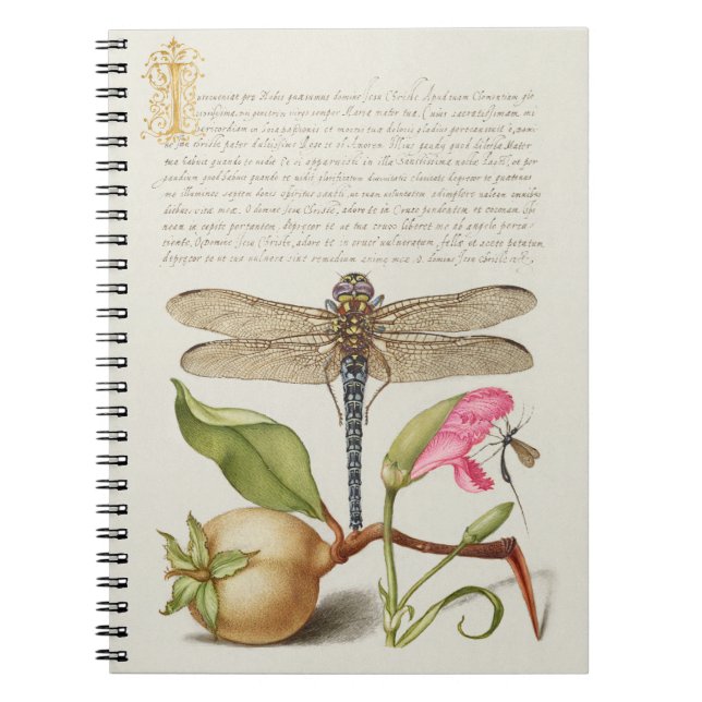 Caderno Espiral Vida no jardim, Libélula, Pera, Cravo e Inseto (Frente)