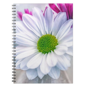Caderno Espiral Vidro partido