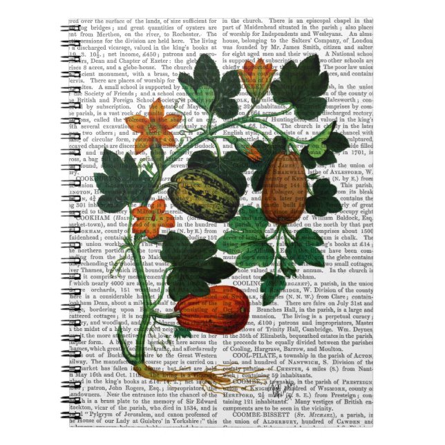 Caderno Espiral Vinha-esquadrão 1 (Frente)