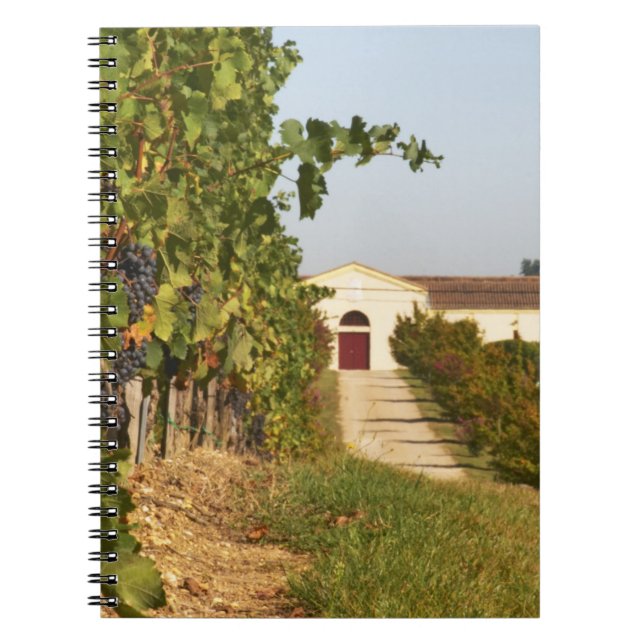 Caderno Espiral Vinhas, videiras petit verdot e a adega ao (Frente)