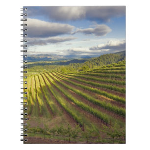 Caderno Espiral Vinícola. Vale de Napa. Napa. Condado de Napa,