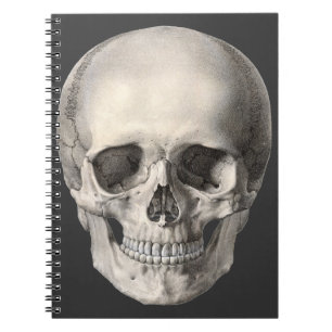 Caderno Espiral Vintage Anatomia Humana Skull, Esqueleto de Hallow