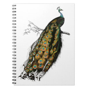 Caderno Espiral Vintage, ave de papoila indiana
