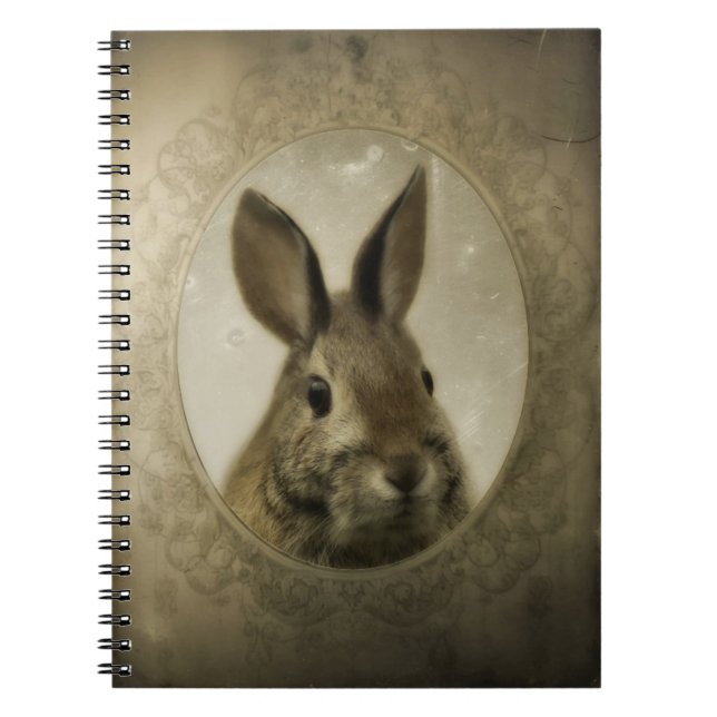 Caderno Espiral Vintage Bunny Portrait (Frente)