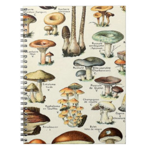 Caderno Espiral Vintage Edible Mushroom Chart