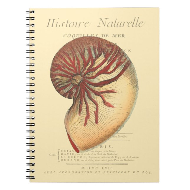Caderno Espiral Vintage Red Conch Shell (Frente)