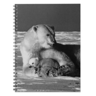 Caderno Espiral Vintage USA Alaska mãe urso polar 1970