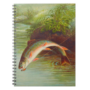 Caderno Espiral Vintagem de peixes de Brook com salto ilustrada