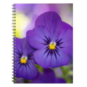 Caderno Espiral Violas roxas