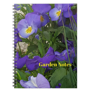 Caderno Espiral Violas roxas em um recipiente do jardim