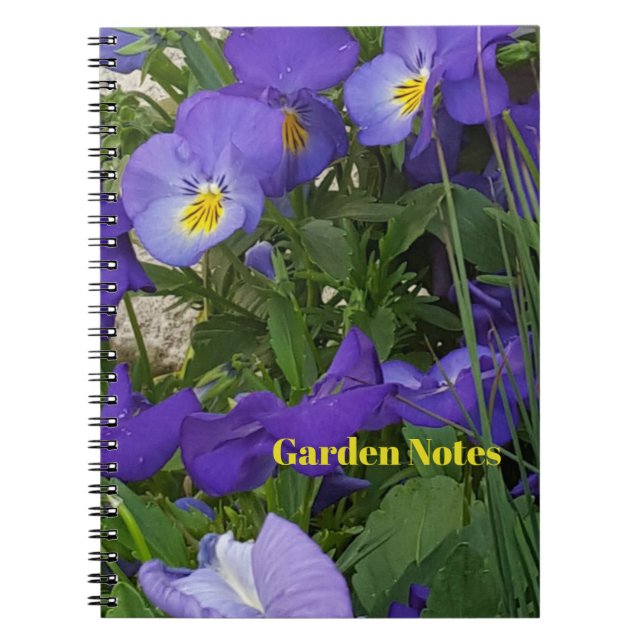 Caderno Espiral Violas Roxos Num Contentor De Jardim (Frente)