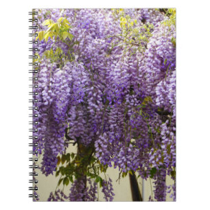 Caderno Espiral Violet Wisteria Flowers