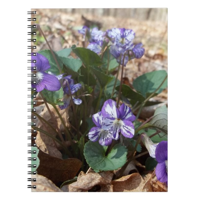 Caderno Espiral Violeta de madeira do sul (Frente)