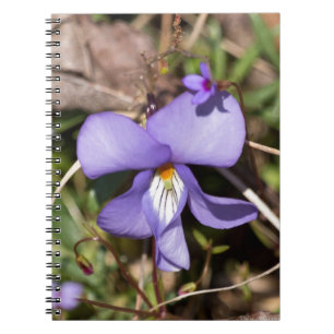 Caderno Espiral Violeta de Pássaros com Bluetooth