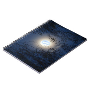 Caderno Espiral Virgem Bendada Maria na Floresta Lite da Lua