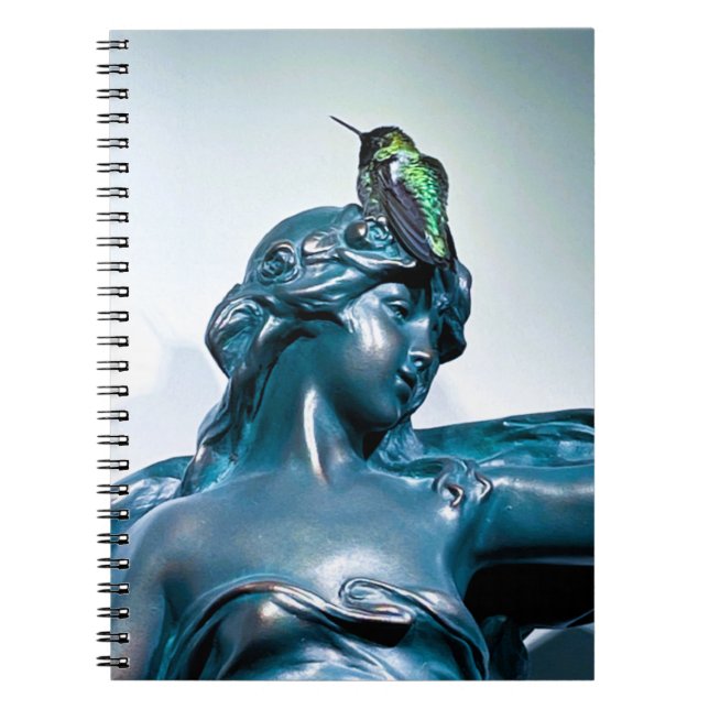 Caderno Espiral visão de beija-flor (Frente)