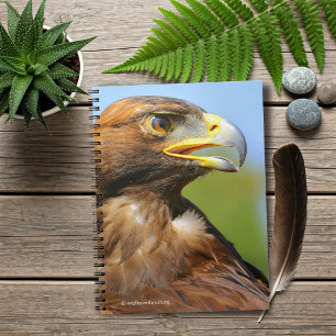 Caderno Espiral Visão de uma bela águia Ouro