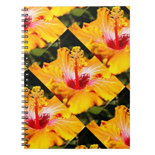 Caderno Espiral Visão lateral do Flor do Hibiscus Laranja (Frente)