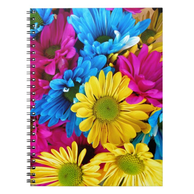 Caderno Espiral Visitas de Cor Brilhante (Frente)