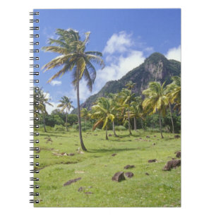 Caderno Espiral vista do Gros Piton ao longo da trilha histórica e