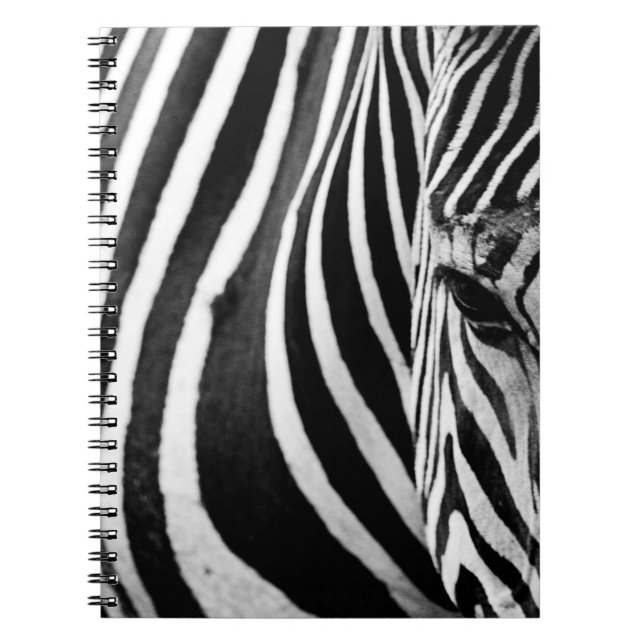CADERNO ESPIRAL VISUALIZAÇÃO DE FECHAMENTO DO ZEBRA (Frente)