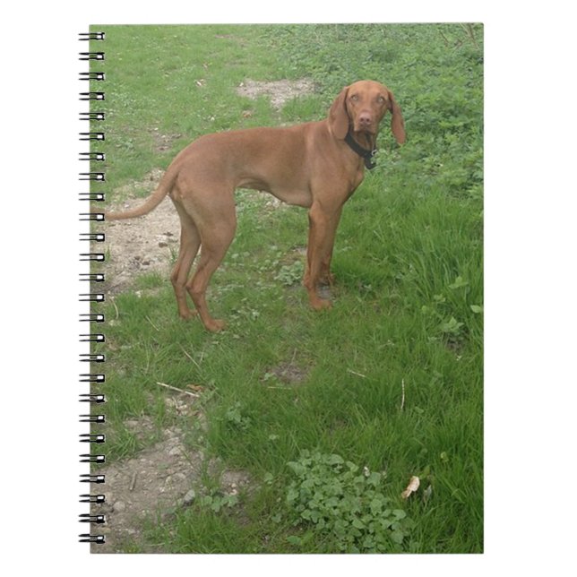 Caderno Espiral vizsla completo (Frente)