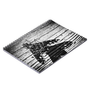 Caderno Espiral voar de volta