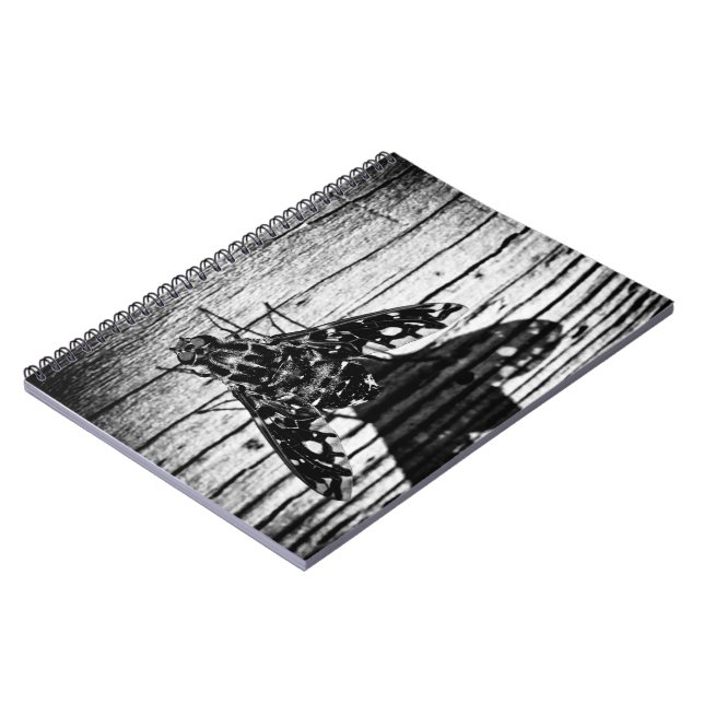 Caderno Espiral voar de volta (Left Side)