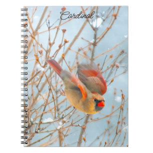 Caderno Espiral Voo Cardinal do norte - Fotografia Original