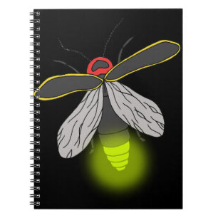Caderno Espiral vôo do inseto de relâmpago iluminado
