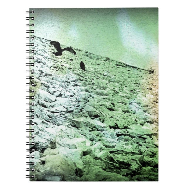 Caderno Espiral Vulturas no lago (Frente)