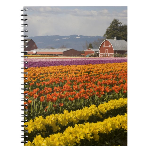 Caderno Espiral WA, Skagit Valley, campos Tulip em flor, em (Frente)