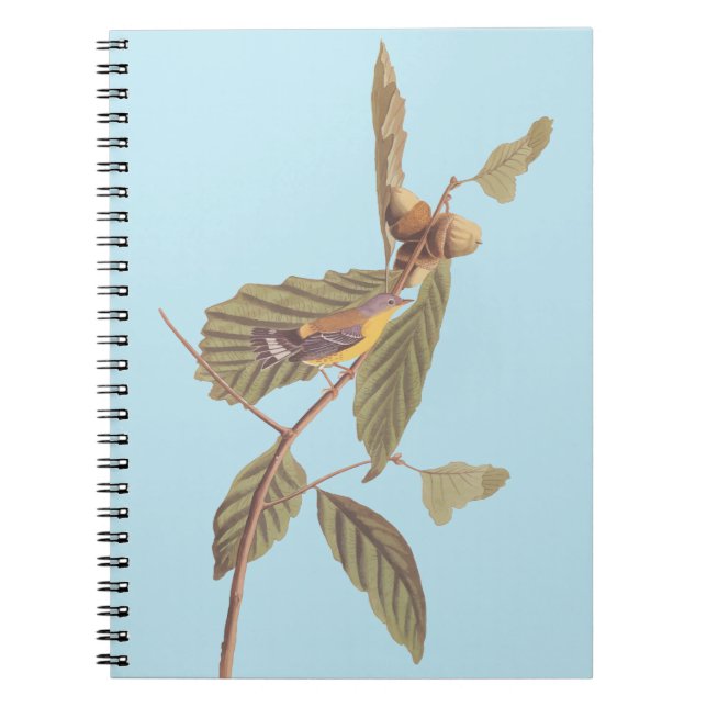 Caderno Espiral Warbler Swainson's em Oak Branch (Frente)