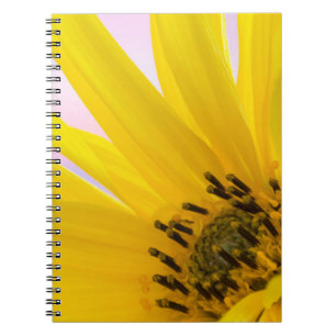 Caderno Espiral Washington. Detalhe da flor de girassol 1