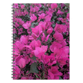 Caderno Espiral Watercolor-Bougainvillea